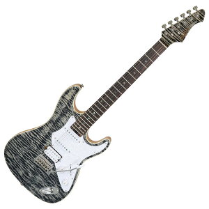 ARIA PRO II 714-AE200 BKDM (Black Diamond) �G���L�M�^�[�q�A���A�v��II�r