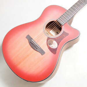 Ibanez AAM50CE-CRO Coral Red Burst Open Pore �G���A�R �A�C�o�j�[�Y