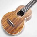 現物写真 aNueNue aNN-AAA1 Taiwan Acacia ソプラノウクレレ アヌエヌエ