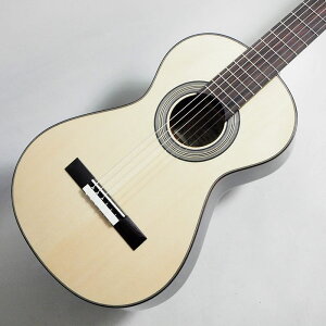 ARIA NVbNM^[ A19C-100N Nylon Strings NaturalqAAr