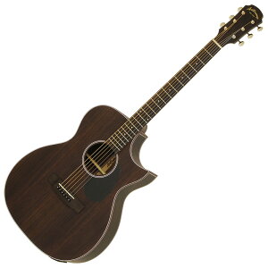 ARIA AF-105RWCE N GARqAAr
