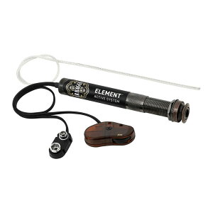 L.R.Baggs Element Active System �A�R�p�s�b�N�A�b�v �G���A�[���o�b�O�X