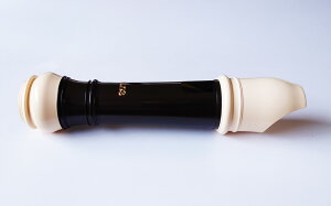 AULOS [AEX] AgR[_[ 509B [E] VtHj[@