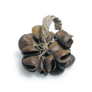 TEhLO@[vEnhEVFCJ[EpM@ME-RHSP