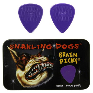y[։zD'Andrea USA sbN BRAIN PICKS@-Pick Set-@TNSDB351@0.6mm`1.14mm[sbNP[Xt12Zbg]
