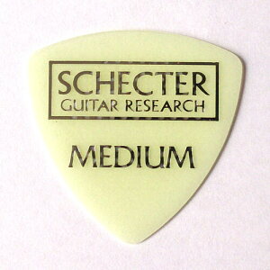 y[։zSCHECTER@sbN@~iX o[@gCAO@~