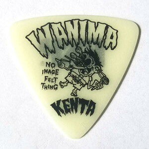 【メール便可】ESP ピック KENTA (WANIMA) PA-WK10-8 / LU アーティストピック