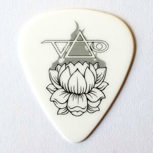 �y���[���։zDUNLOP�@�M�^�[�s�b�N�@�X�e�B�[���E���@�C 483C M01 STEVE VAI