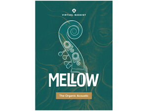 UJAM [W Virtual BASSIST MELLOW 2 x[X DTM DAW