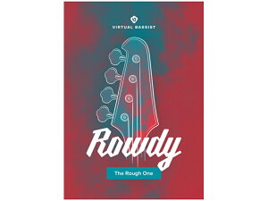 UJAM [W Virtual BASSIST ROWDY 2 x[X DTM DAW