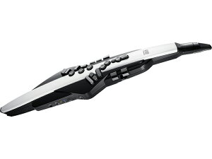 Roland [h Aerophone EBhVZTCU[ GAtH fW^Ǌy Aerophone AE-20 yzyDTMzyDAWz