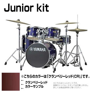 YAMAHA }n Junior kit DJK6F5CR Nx[bh VFZbgyDJK6F5CRzy 115_[J[݌ɂ z h hZbg o[` a RpNg LbY q ~j TCY