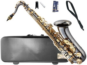 Antigua ( アンティグア ) TS4248 パワーベル BG テナーサックス ブラック ゴールド Tenor saxophone powerbell Black nickel body gold finish keys　北海道 沖縄 離島不可