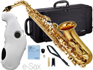 YAMAHA }n 5Nۏ؃T|[gΏ YAS-380 AgTbNX bJ[ S[h Ǌy e-Sax ES3-AS Zbg@ȉ͑Ήs kC  