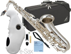 YAMAHA }n YTS-62S ei[TbNX ⃁bL { Ǌy Vo[ Tenor saxophone gold e-Sax ES2-TS Zbg@kC  s