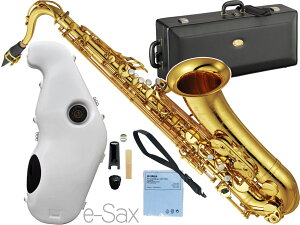 YAMAHA }n YTS-82Z ei[TbNX JX^Z S[h Tenor saxophone gold Custam Z Ǌy e-Sax ES2-TS Zbg@kC  s