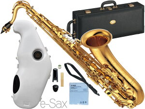 YAMAHA ���}�n YTS-875 �e�i�[�T�b�N�X ���b�J�[ �J�X�^�� �S�[���h Tenor saxophone gold Custam �Ǌy�� e-Sax ES2-TS �Z�b�g�@�k�C�� ���� �����s��