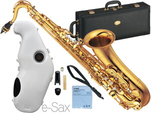 YAMAHA }n YTS-875EX ei[TbNX bJ[ JX^ S[h { Tenor saxophone gold Custam Ǌy e-Sax ES2-TS Zbg@kC  s