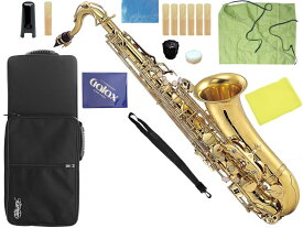 Kaerntner ( ケルントナー ) KTN-65 テナーサックス アウトレット KTN65 ラッカー ゴールド 管楽器 Tenor saxophone gold セット B　北海道 沖縄 離島 同梱不可