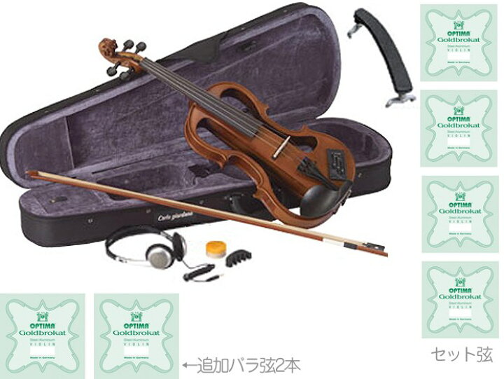 楽天市場】CarloGiordano ( カルロジョルダーノ ) EV-202 NAT 