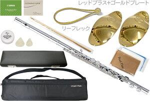 Pearl Flute p[t[g PFA-201ES Agt[g bvv[g ␻ Ag925 Xg[g  EJjY alto flute PFA201ES Zbg B@kC  s