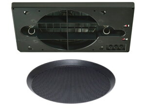 MASSIVE }bVu CL-H120RN (B) ubN  V䖄^Xs[J[EV[O^y1128_A݌ɂ z