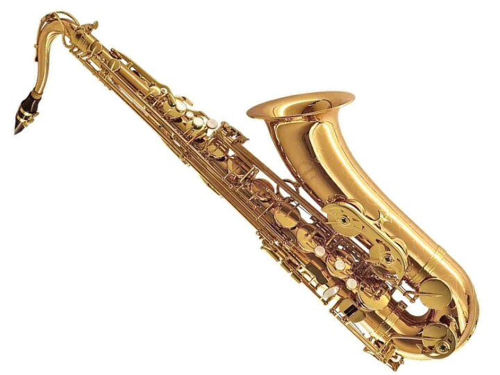 楽天市場】Chateau シャトー CTS-H92L テナーサックス レッドブラス 