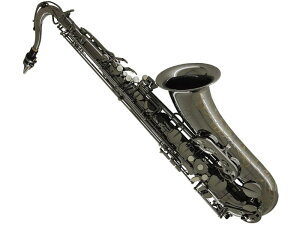 Chateau Vg[ CTS-H92B ei[TbNX ubNjbPbL bhuX HANDMADE SERIES Tenor Saxophone black@kC  s