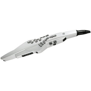 Roland ( [h ) Aerophone White EBhVZTCU[ GAtH fW^Ǌy zCg AE-20W