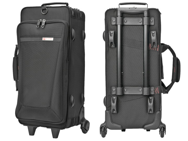 楽天市場】PROTEC プロテック IP301DWL トランペット ダブルケース 