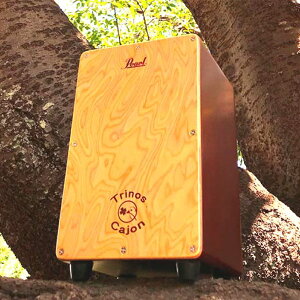 Pearl �p�[�� Mini Cajon Trinos PMC-TRS �J�z���yPMC-TRS�z�y 12��15�����_���[�J�[�݌ɂ��� �z �J�z�� �A�R�[�X�e�B�b�N