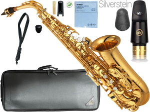 YAMAHA }n 5Nۏ؃T|[gΏ YAS-875EX AgTbNX JX^ bJ[ Alto saxophone gold Custam EX Silverstein LEO Zbg kC   s