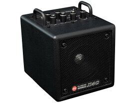 Phil Jones Bass フィル ジョーンズ ベース NANOBASS X4C Black ベース コンボアンプ 正規輸入品 バッテリー対応モデル 自宅 練習