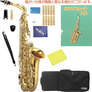 Kaerntner Pgi[ KAL62 AgTbNX bJ[ S[h Ǌy Alto saxophone KAL-62 Zbg C@kCs s s s s