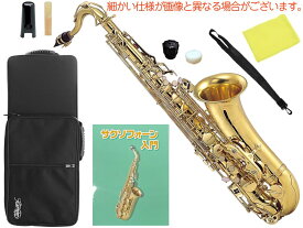 Kaerntner ( ケルントナー ) KTN-65 テナーサックス アウトレット KTN65 ラッカー ゴールド 管楽器 Tenor saxophone gold セット D　北海道 沖縄 離島 同梱不可