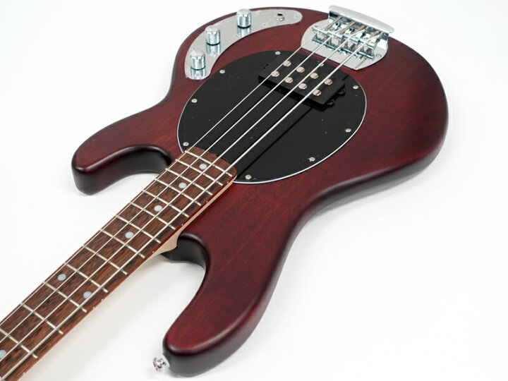 楽天市場】Sterling by Musicman RAY4 Walnut Satin 特価品 スティング 