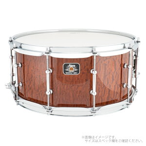 LUDWIG fBbN LU6514BE Universal Beech EbhXlAhyLU6514BEz EbhVF r[`