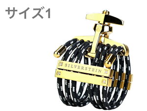 Silverstein Vo[X^C HG501A wLT VpS[h K`[ TCY1 \vmTbNX o[ soprano sax Ligature HEXA size1 kC  s