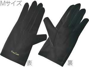 y[֏oוiz v} ~NfBAFSY O[u^N[i[NX ubN MTCY E 2 1g PRIMA GAKKI cleaning cloth BLACK kC  s