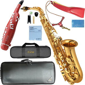 YAMAHA }n 5Nۏ؃T|[gΏ YAS-875EX AgTbNX bJ[ JX^ Alto saxophone gold Custam EX ElesaZbgK@kC   s