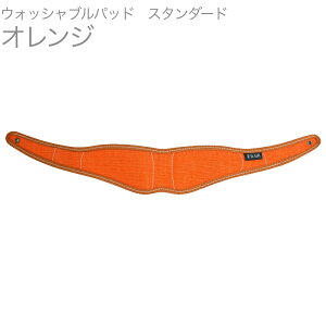 y[֏oוizB.AIR ( r[GA[ ) APAD-W-OR EHbVupbh IW X^_[h o[hXgbvp standard saxophone straps custom parts@kC   s