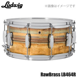 LUDWIG ( ラディック ) LB464R Raw Brass Phonic 14"×6.5" ドラム スネア ブラス【LB464R】