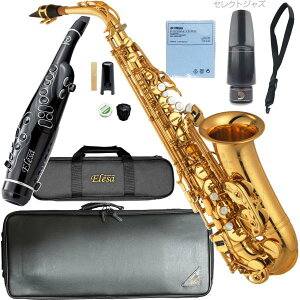 YAMAHA }n 5Nۏ؃T|[gΏ YAS-875EX AgTbNX JX^ bJ[ Alto saxophone gold Custam EX Elesa ZbgN@kC   s