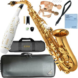 YAMAHA }n 5Nۏ؃T|[gΏ YAS-875EX AgTbNX JX^ bJ[ Alto saxophone gold Custam EX Elesa ZbgO@kC   s