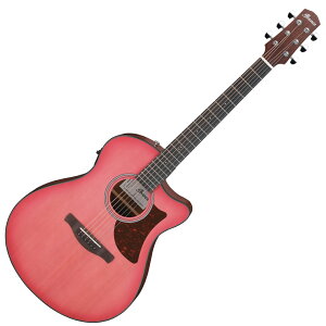 Ibanez �A�C�o�j�[�Y AAM50CE CRO �G���A�R �A�R�[�X�e�B�b�N�M�^�[