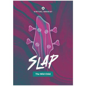 UJAM [W Virtual BASSIST SLAP x[X vOC DTM DAW