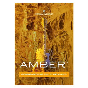 UJAM ���[�W���� Virtual Guitarist AMBER 2 �M�^�[���� �v���O�C�� DTM DAW