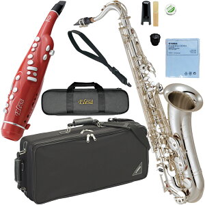 YAMAHA }n YTS-62S ei[TbNX ⃁bL Ǌy Vo[bL Tenor saxophone dqTbNX Elesa Zbg F@kC  s