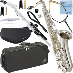 YAMAHA }n YTS-62S ei[TbNX ⃁bL Ǌy Vo[bL Tenor saxophone YVS-140 o[hXgbv Zbg G@kC  s
