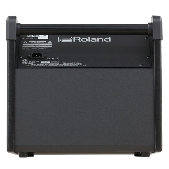 楽天市場】Roland ローランド PM-100 + 3m 接続ケーブル + 変換プラグ 